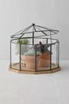 Tabletop Greenhouse | Urban Outfitters (US and RoW)