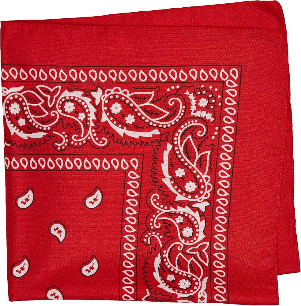 amscan all Paisley Bandana, Red, 20 x . 1 Pc US | Amazon (US)