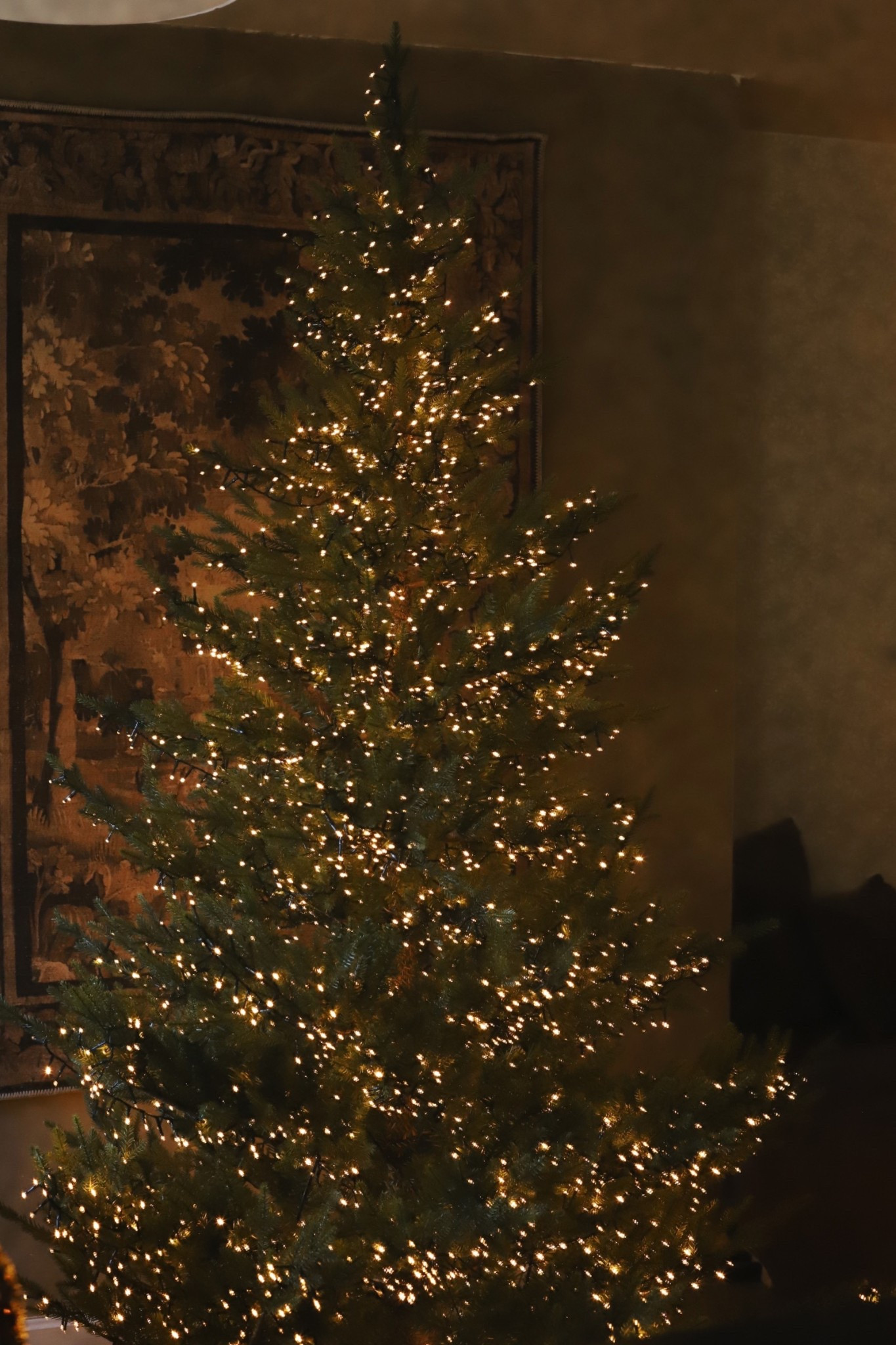 My twinkling Christmas tree lights are getting so much love and for a good reason!! They trully look and feel so magical ✨🥹

#LTKHome #LTKSeasonal #LTKHoliday