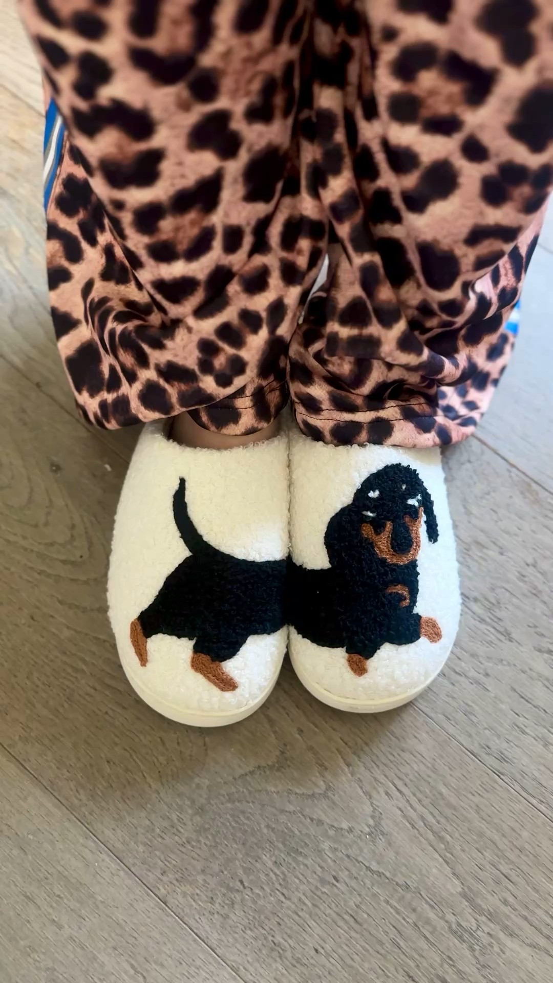 Happy feet!!! For all my doxie dog lovers! Size up :) 

#LTKPets #LTKHome #LTKFindsUnder50