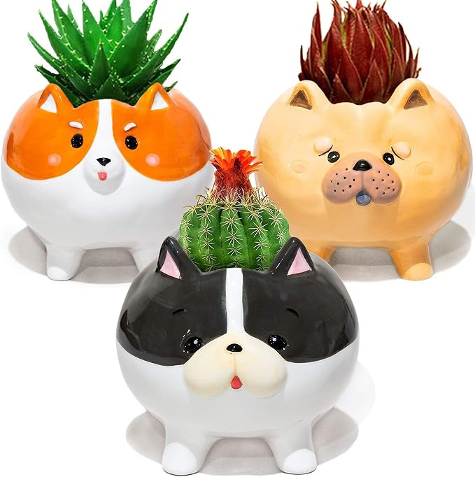 Succulent Pots with Drainage - Small Succulent Planter Handmade Ceramic Plant Pot Indoor - Mini P... | Amazon (US)