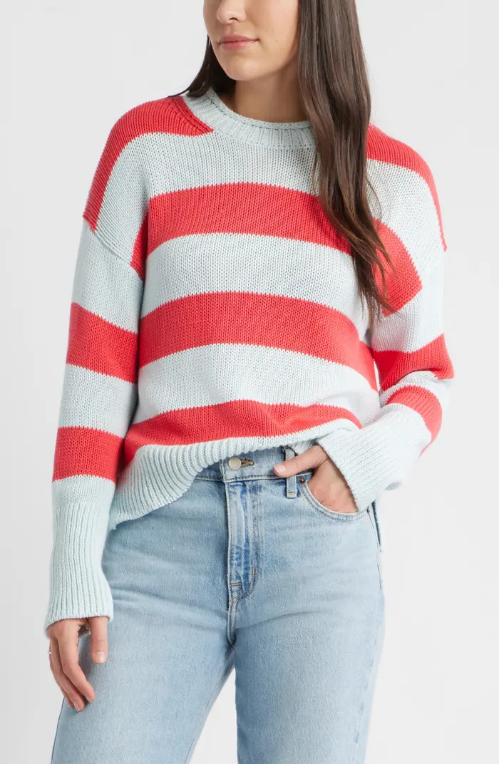 Stripe Roll Neck Cotton Sweater | Nordstrom