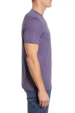 Robert Barakett Georgia Crewneck T-Shirt | Nordstrom | Nordstrom