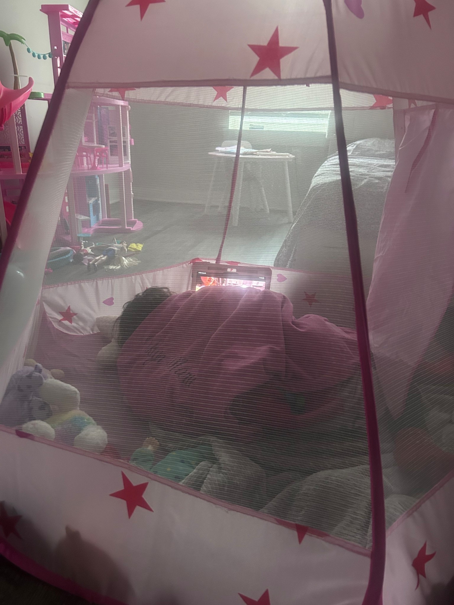 has my child been pretending this ball pit is a tent during this snow storm? Yes! Have i attempted to correct her ? Absolutely not! Go right ahead sis 😂

#LTKKids