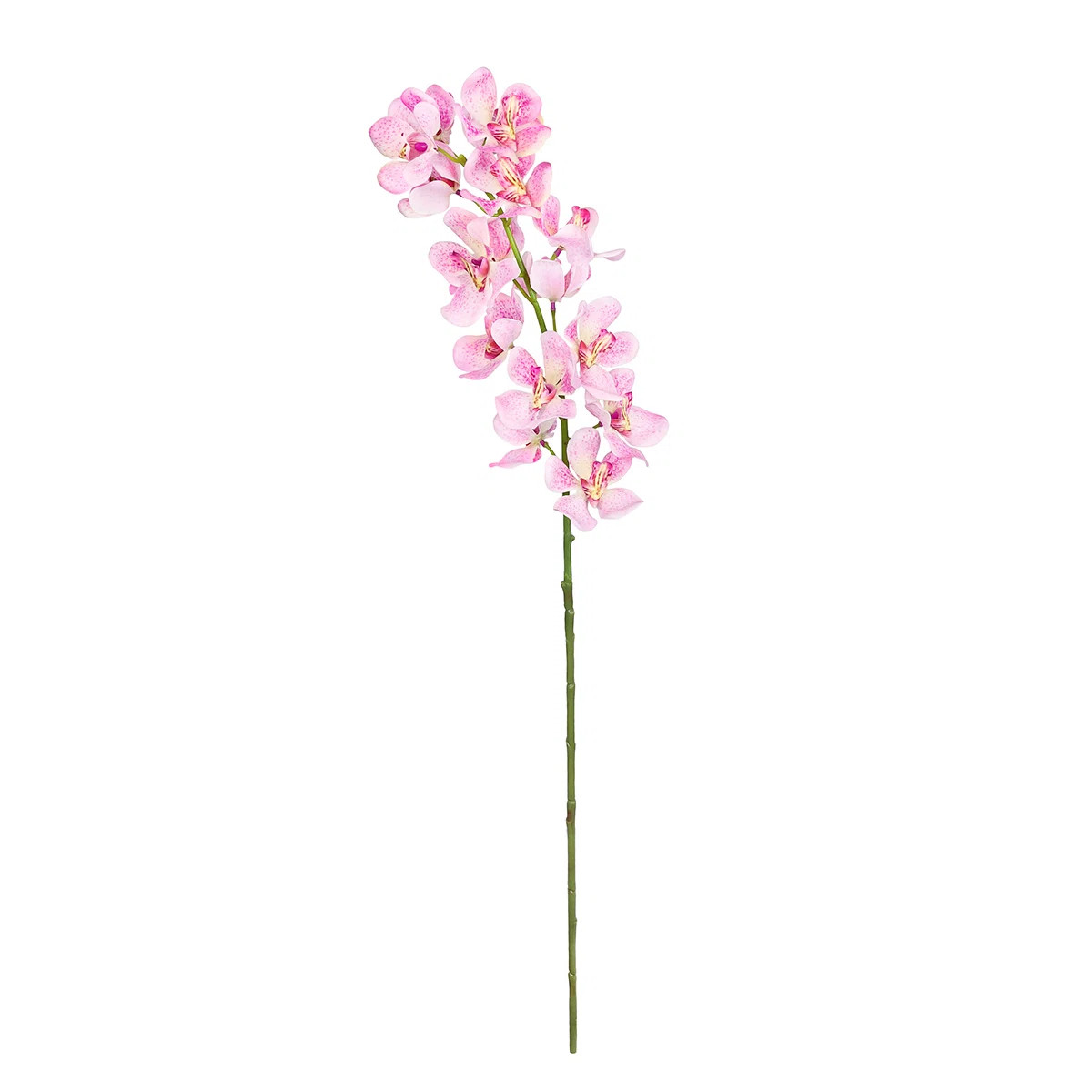 Orchid Arrangement (Set of 3) | Wayfair North America