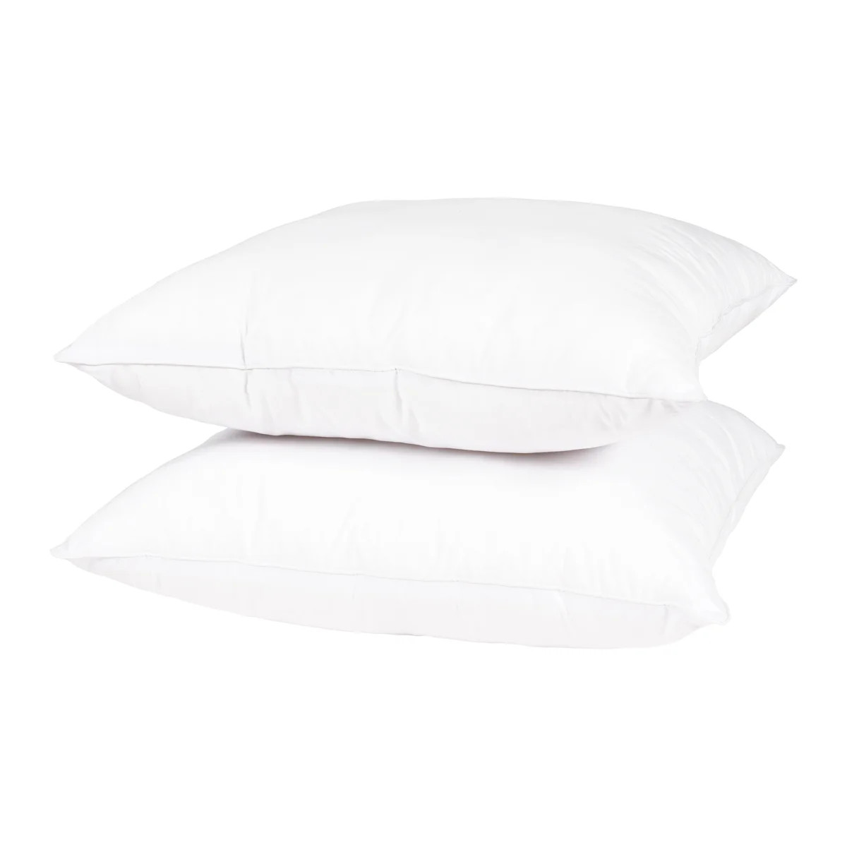 Wayfair Basics® Didomenico Euro Square Pillow Insert (Set of 2) | Wayfair North America