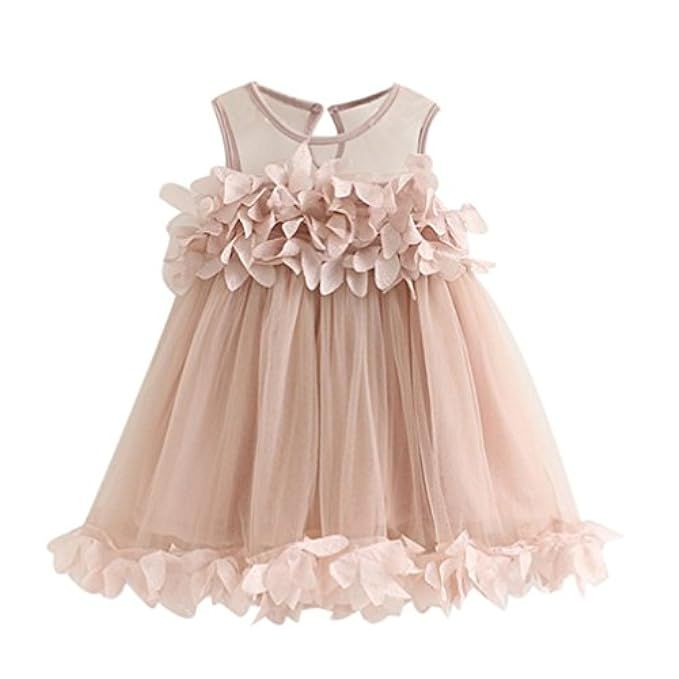 WuyiMC Princess Dress, Toddler Baby Girls Lace Sleeveless Tulle Summer Vest Dresses | Amazon (US)