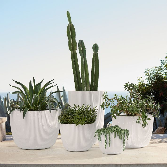 Sanibel Indoor/Outdoor Planters | West Elm (US)