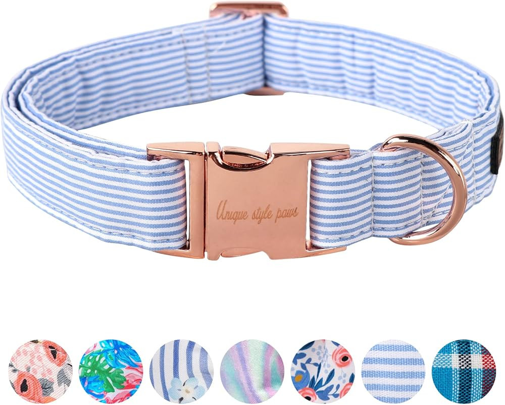Unique style paws Dog Collar Metal Buckle Collar Gift for Small Medium Large Boys Girls Dogs | Amazon (US)
