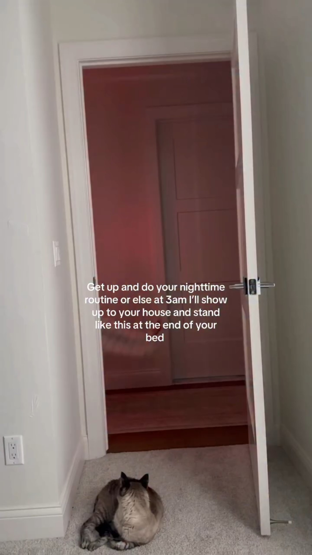 AND I’ll take your phone and text your ex saying “i miss you stinky buttt💕” 

Just got this bad boy from @sharkbeauty and I’m not afraid to use it 💅🏼💅🏼💅🏼💅🏼