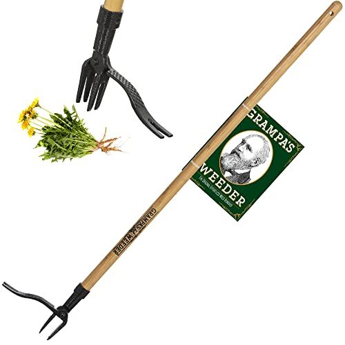 Grampa's Weeder - The Original Stand Up Weed Puller Tool with Long Handle - Made with Real Bamboo... | Amazon (US)