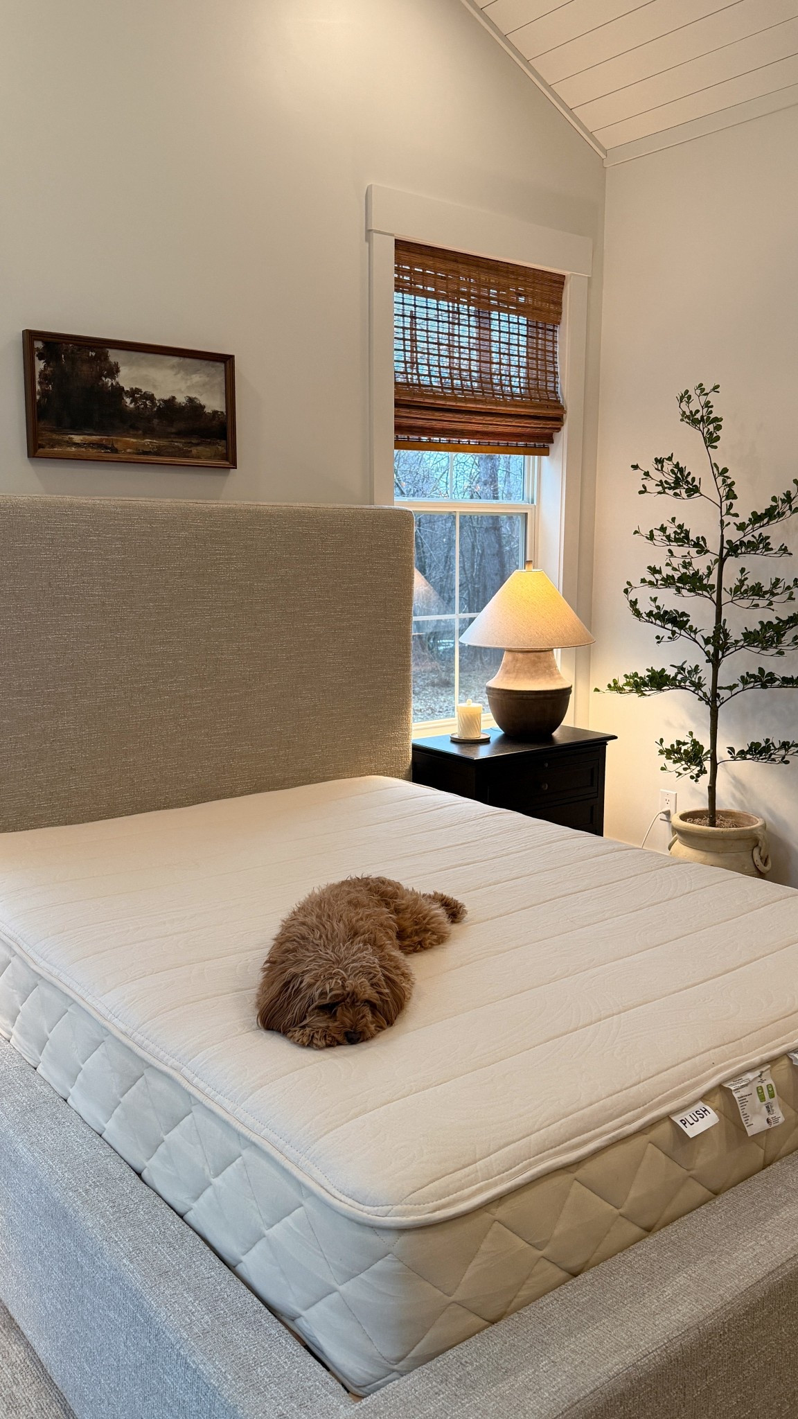 New organic happsy mattress!! We’ve only had it one night, but loving it already! 

#LTKmorningroutine #LTKHome