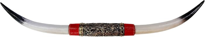 Aurionix Longhorn Wall Decor, Texas Wall Decor, Floral Embossing, Faux Taxidermy Cow Skull, Texas... | Amazon (US)