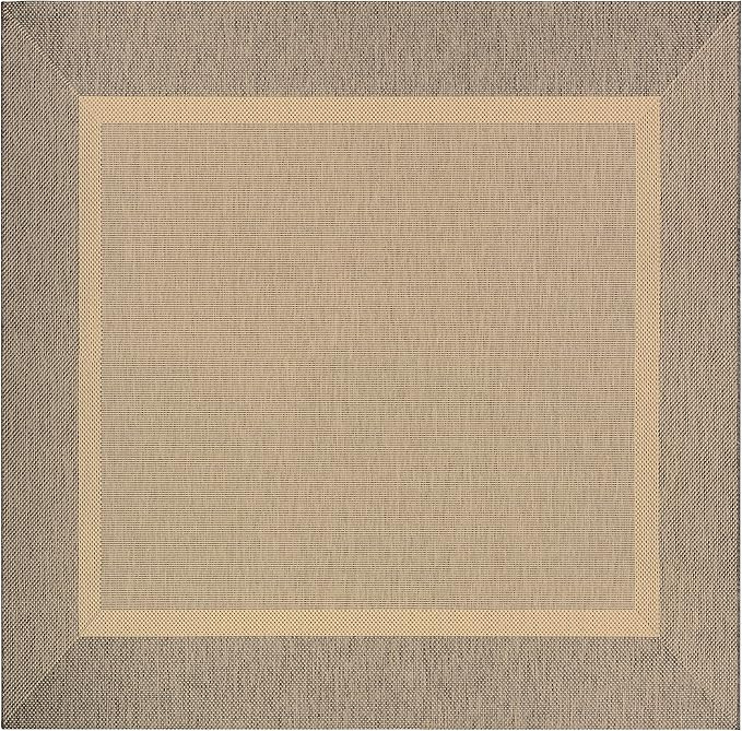 Couristan Recife Indoor/Outdoor Area Rug for Patios, Decks, Kitchens and Laundry Rooms, All-Weath... | Amazon (US)