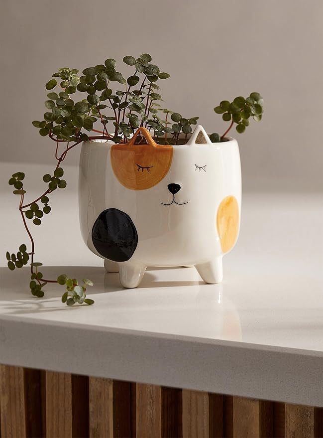 Amazon.com : SparkDazzle Cat Planter Pot | Indoor Planter for Plants | Cat Lover and Gardening Gi... | Amazon (US)