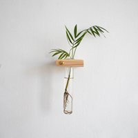 Plant Propagation Wall Hanging, Station Wall, Test Tube Planter, Hanging Propagation, Hanger, Holder | Etsy (US)