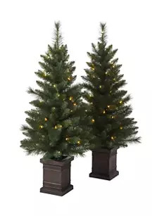 4' Pre Lit Porch Trees - Set of 2 | Belk