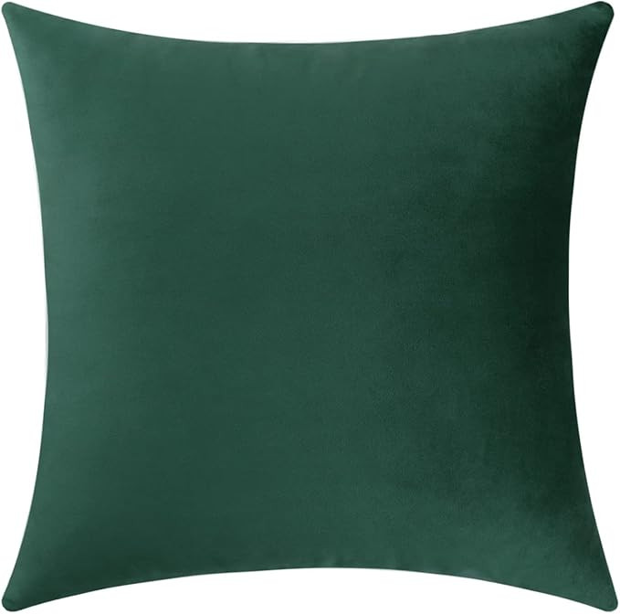 Jeneoo Set of 1 Comfy Accent Soft Velvet Throw Pillow Covers for Sofa Couch, Invisible Zipper Dec... | Amazon (US)