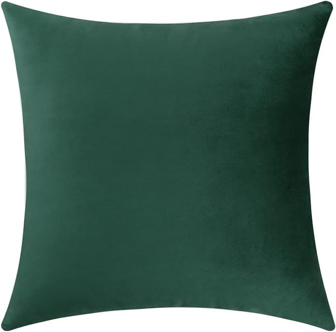 Jeneoo Set of 1 Comfy Accent Soft Velvet Throw Pillow Covers for Sofa Couch, Invisible Zipper Dec... | Amazon (US)