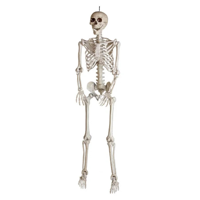 Gemmy 59660 Spooky 5 ft. Bone Skeleton with Open Mouth | Walmart (US)