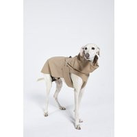 Beige Raincoat, Jacket For Dogs | Etsy (US)
