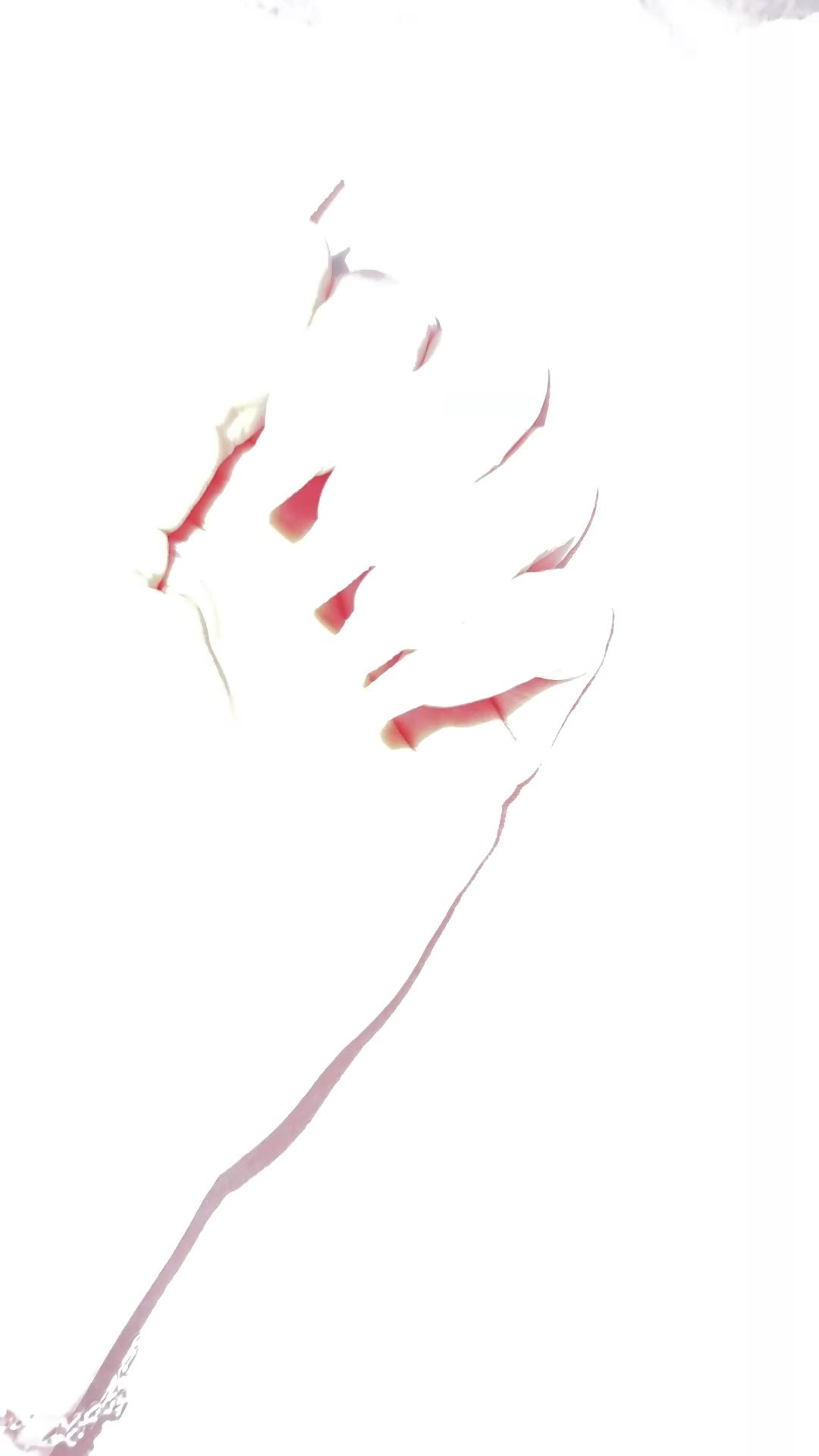 NYE nails 

#LTKgrwm #LTKBeauty #LTKHoliday