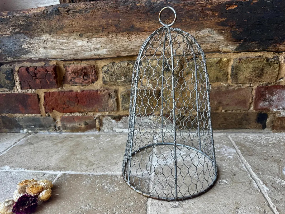Vintage French Cloche: Wirework, Rustic Decor, Antique Interior | Etsy (US)