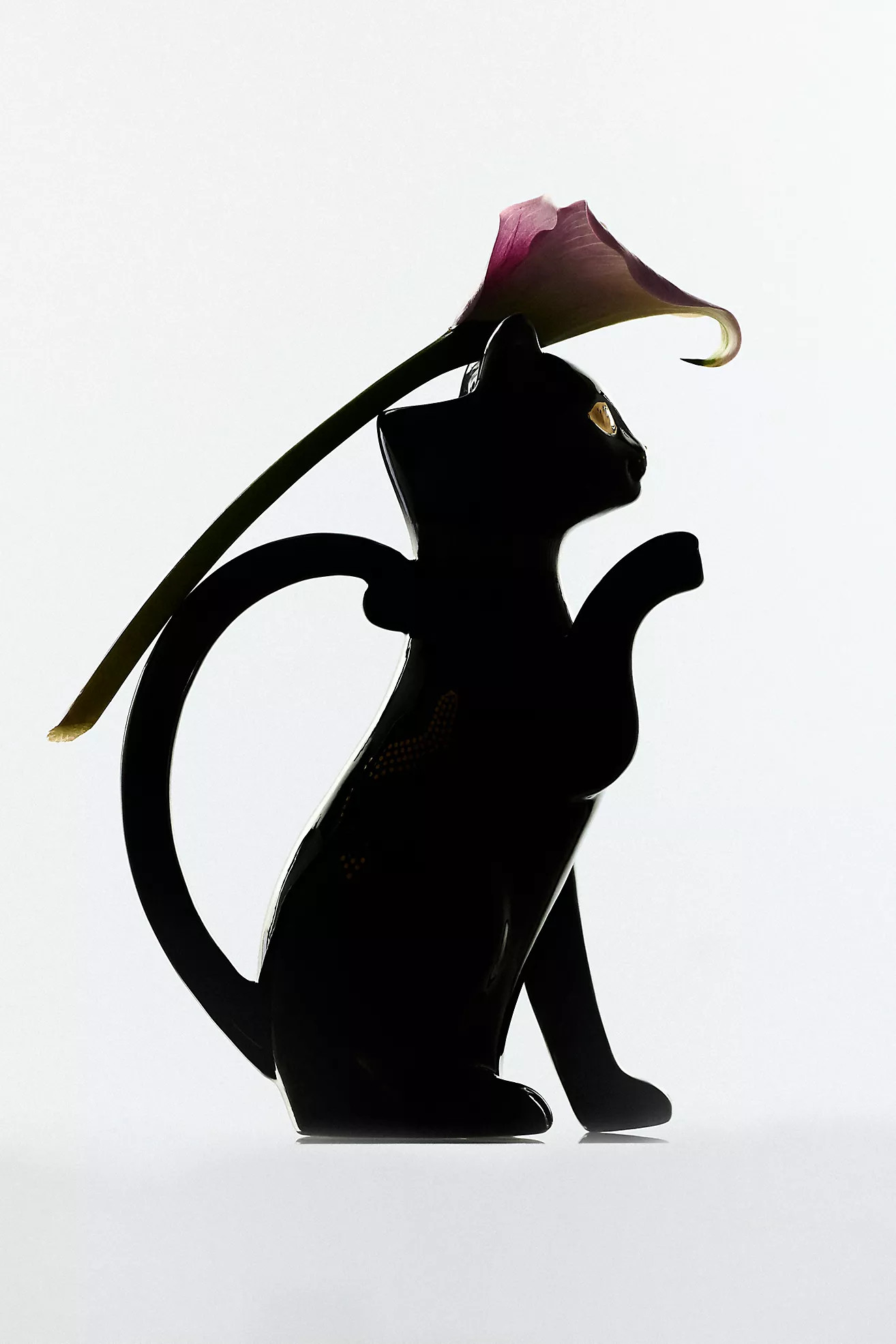 Florence Balducci Black Cat Stoneware Pitcher | Anthropologie (US)