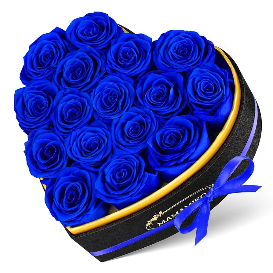 16 Preserved Roses in Heart Shape Gift Box for Her - Forever Flowers for Delivery, Eternal Rose M... | Amazon (US)