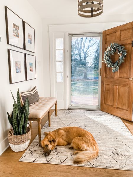 Neutral 5x7 rug to warm up your foyer space. Perfectly cozy, even the dogs love it! Foyer bench, entryway, area rug

Use my code EMMA_GRACE_BLOG for an additional discount! 

#LTKhome #LTKFind #LTKstyletip