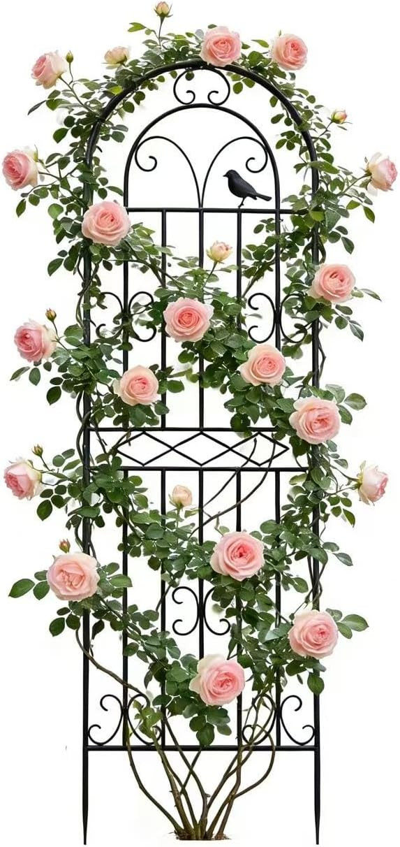1 Pack 70.8"x19.7" Metal Gardon Trellis for Climbing Plants Flowers Outdoor, Rustproof, Heavy Dut... | Amazon (US)