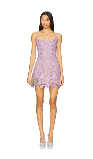 Rory Lace Dress in Lavender | Revolve Clothing (Global)