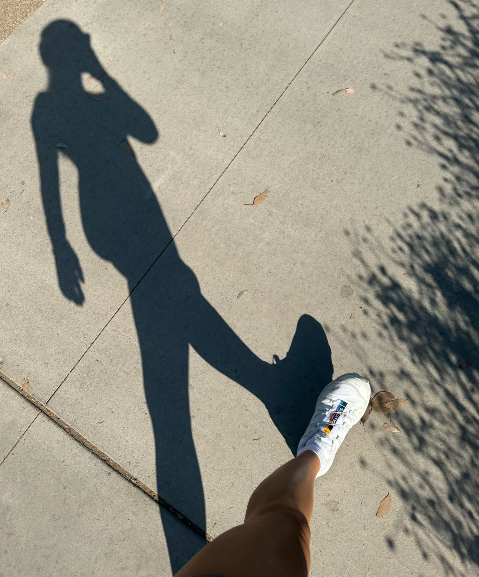 One of my favorite walking shoes + linked other colors I am loving!!

Runs true to size 

#salomon #sneakers #workout #walking #dailysteps #LTKwalking #sneakers #shoes #athleticshoes #walkingshoes #runningshoes

#LTKStyleTip #LTKActive #LTKShoeCrush