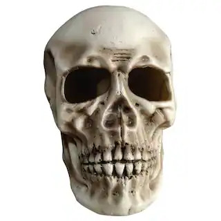 Light-Up Skull by Ashland® | Michaels | Michaels Stores