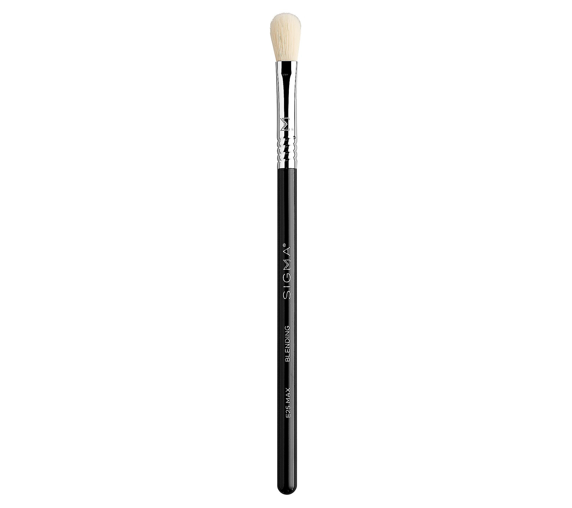 Sigma E25 Max Blending Brush | QVC