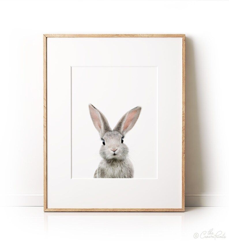 Animal wall art, Bunny print, PRINTABLE art, Animal print, Baby rabbit print, Nursery decor, Phot... | Etsy (US)