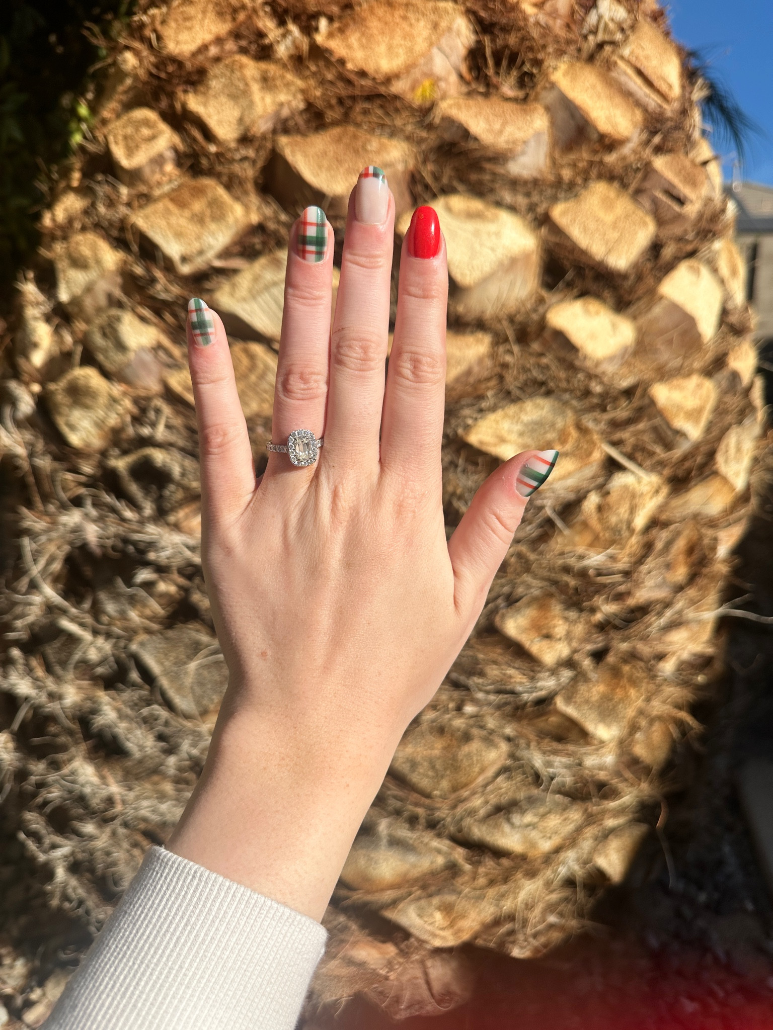 Christmas Plaid 💅

#LTKHoliday #LTKSeasonal #LTKBeauty