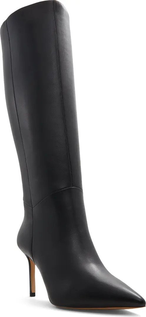 Laroche Pointed Toe Knee High Boot (Women) | Nordstrom