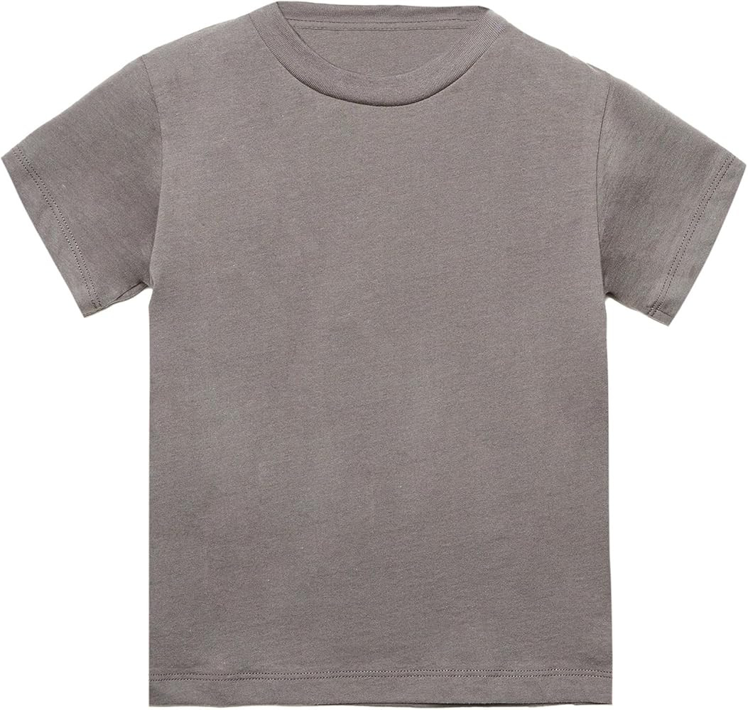 Bella Canvas Toddler Jersey Short Sleeve T-Shirt (Pack of 2) | Amazon (US)