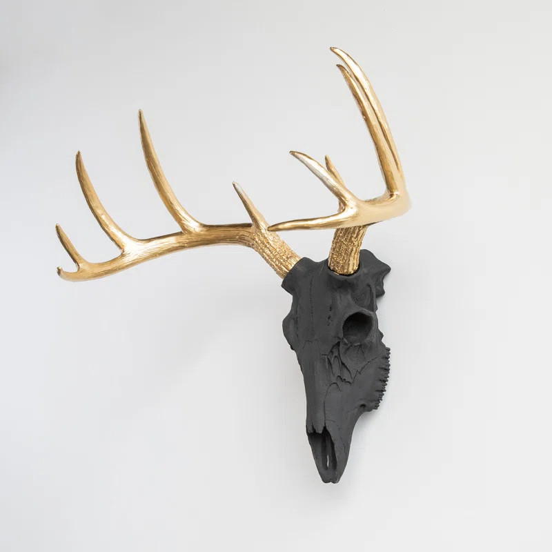 Buck Skull Wall Décor | Wayfair North America