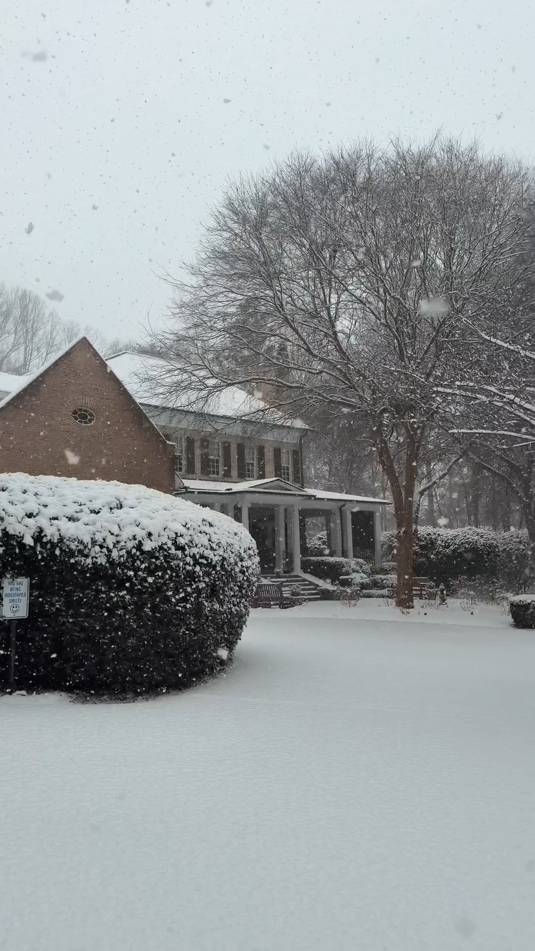 The soft magic of a rare snowy day! May it give us a few slow days at home. ❄️ 

Here are a few scenes from our Upstate, SC snow yesterday. Waking to sunny skies and a warm, 9 degrees. 

It is just so magical! I might be sharing for days! ☃️ 

Waterproof dog coats, snow boots, cashmere scarf, Quince, Sorel 

#snowstorm #yeahthatgreenville #southernliving #courtyard #classichome 

#LTKHome #LTKSeasonal #LTKdayinmylife
