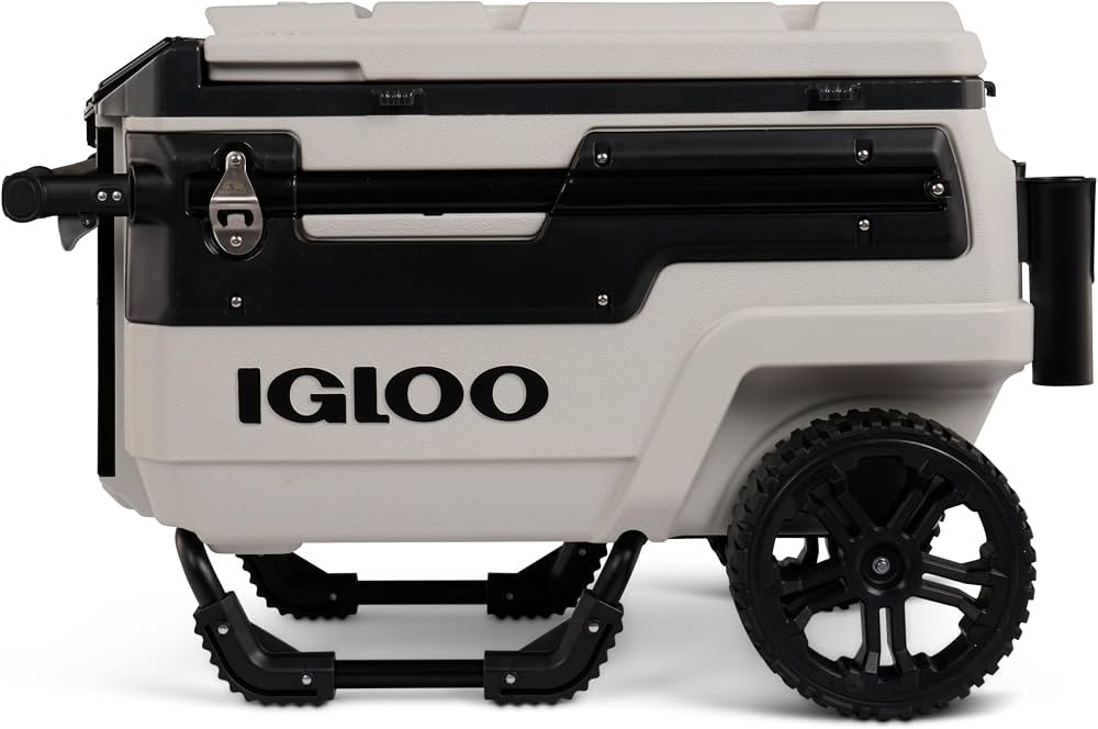 Igloo | Amazon (US)