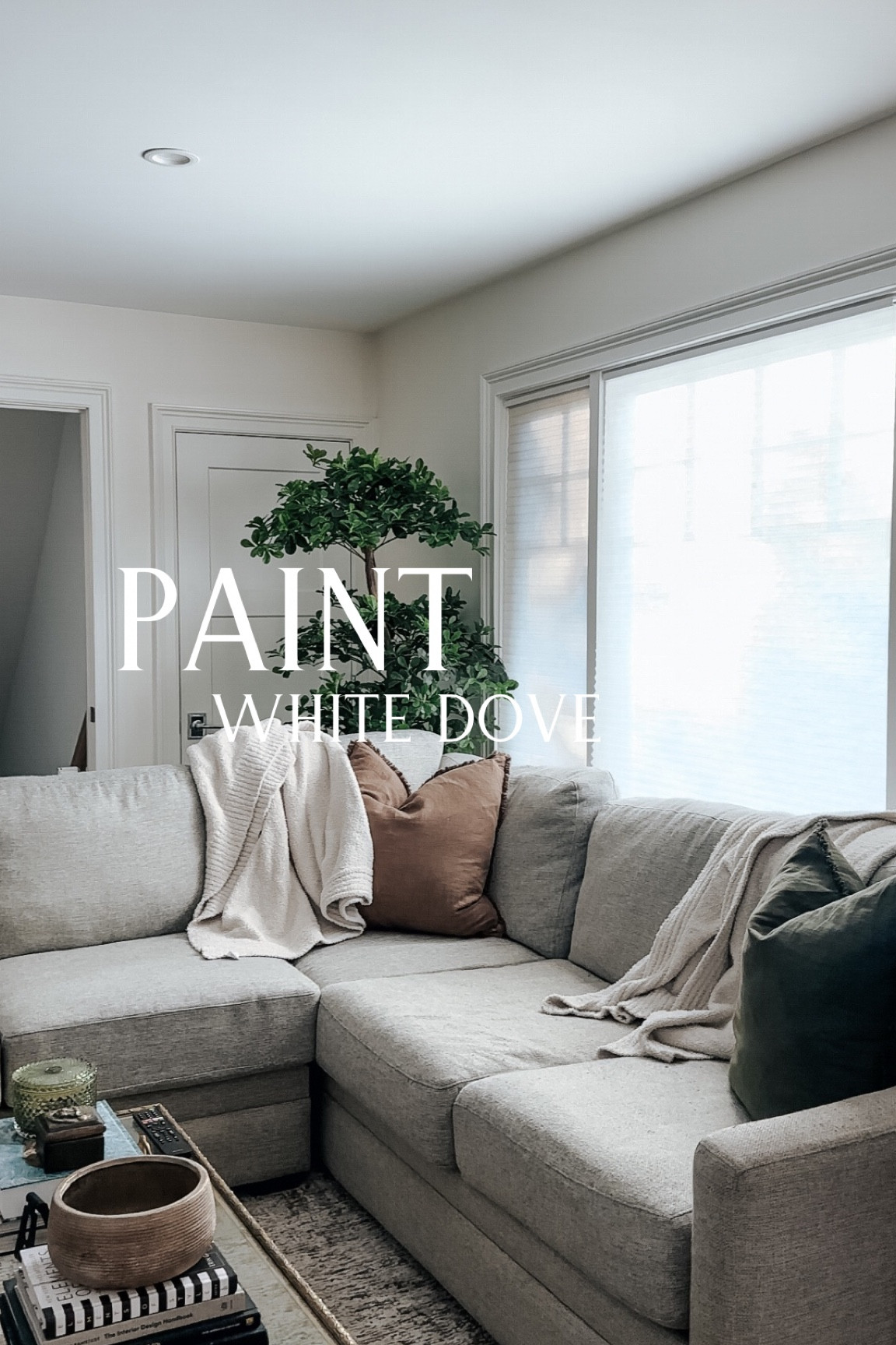 Benjamin Moore Paint: White Dove 

Edger Painter - worth it. 
