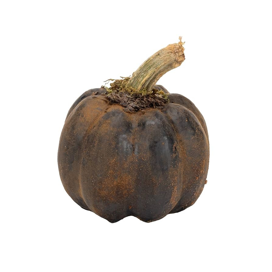 Raggedy Junction Fall Autumn Primitive Harvest Distressed Decor 4 x 4 Inch Paper Mache with Real ... | Amazon (US)