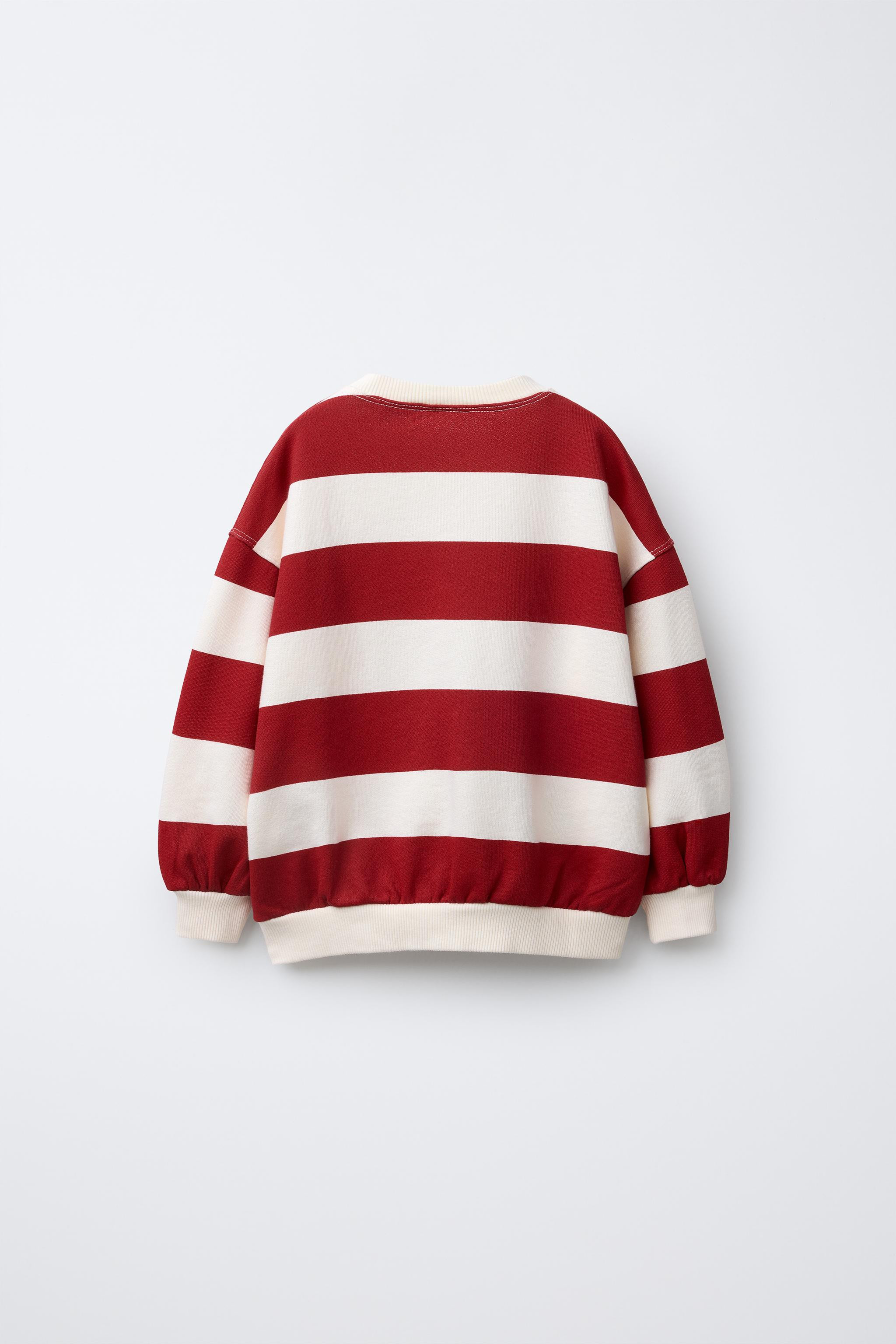 STRIPED EMBROIDERED SWEATSHIRT | Zara UK