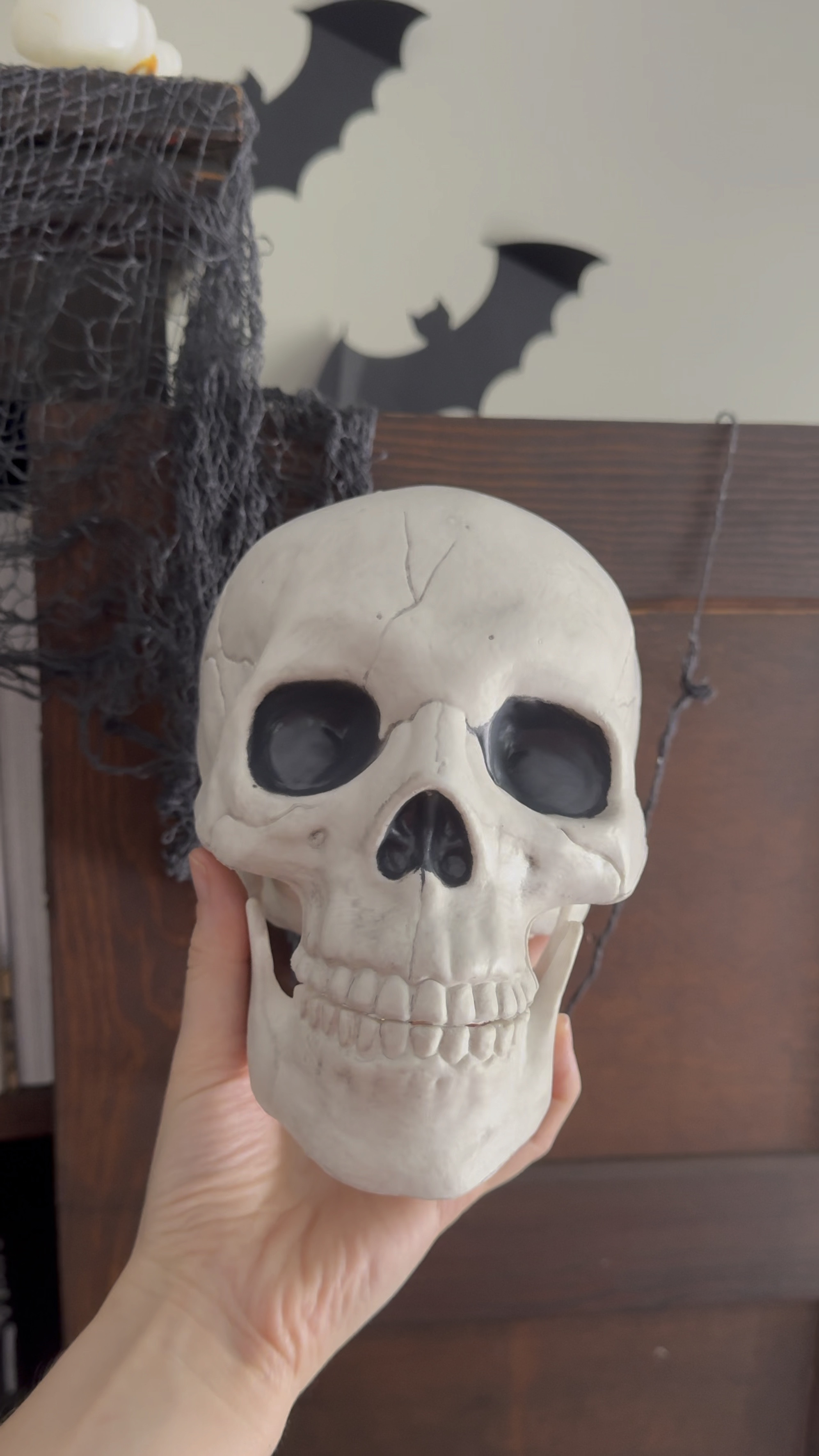 This $5 skull from Target is perfect to add to your Halloween decor! Halloween shelf decor. Halloween styling. Halloween home. 

#LTKhome #LTKSeasonal
