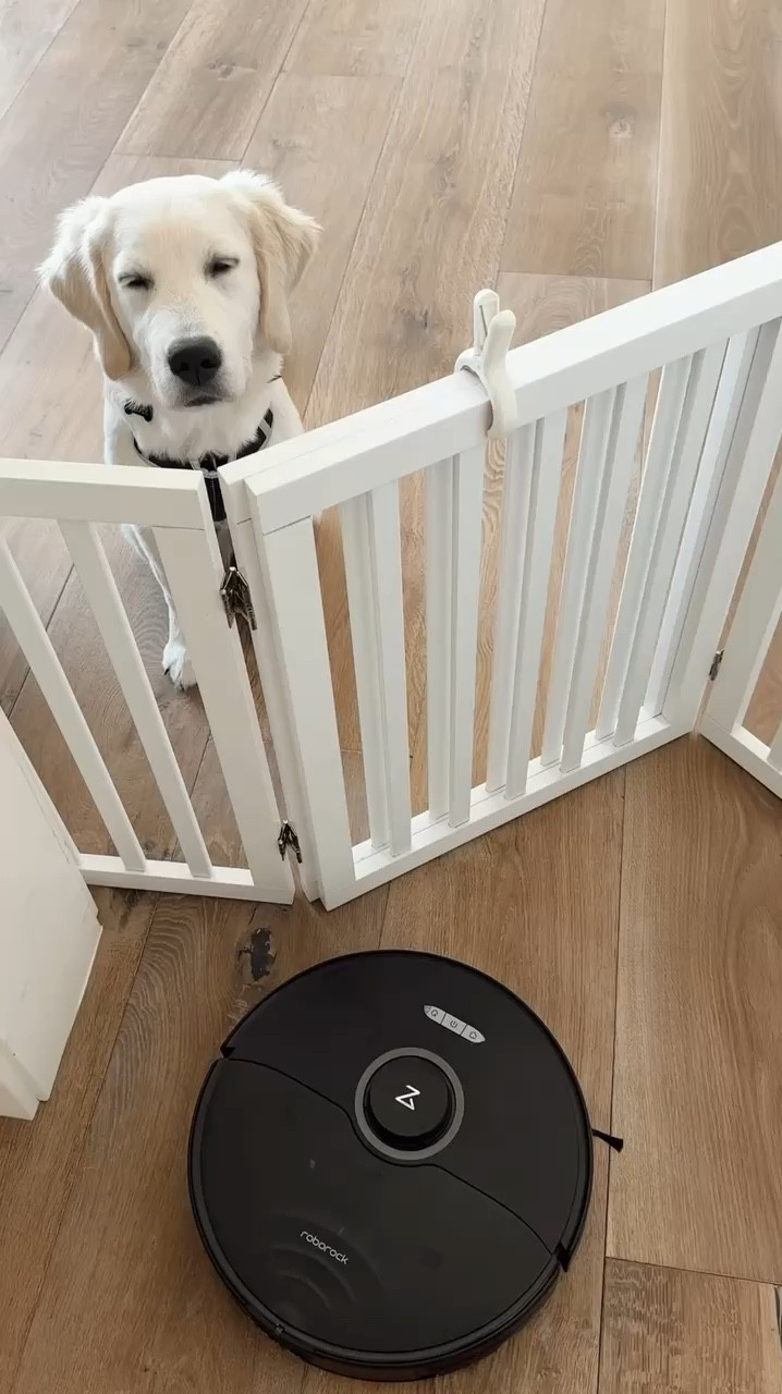 We have found this to be so useful in our home✨ StylinByAylin, Aylin

#LTKGiftGuide #LTKSeasonal #LTKHome