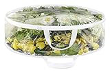 Amazon.com: Whitmor Clear Everyday Wreath Bag, 30 Inch : Home & Kitchen | Amazon (US)