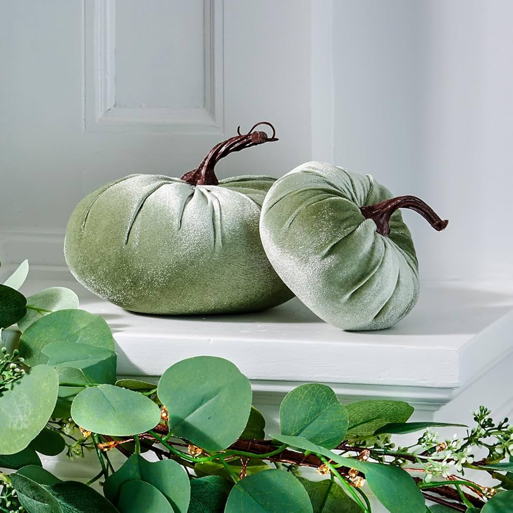 Velvet Pumpkins for Decorating - Set of 2, Plush Green Velveteen Fabric with Realistic Stems, 5 I... | Amazon (US)