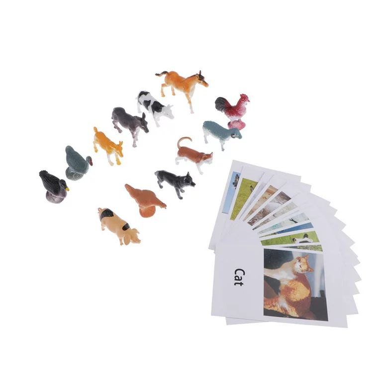 Montessori Poultry Animal Match Cards and Figurines Sets (12pcs + 12pcs), Language Materials for ... | Walmart (US)
